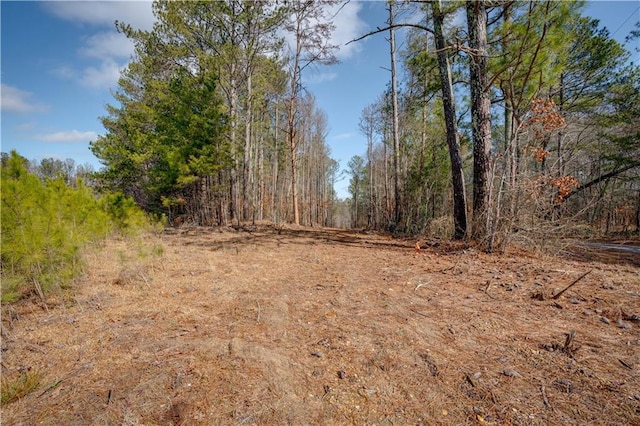 Listing photo 3 for 0 John Kay Rd, Taylorsville GA 30178