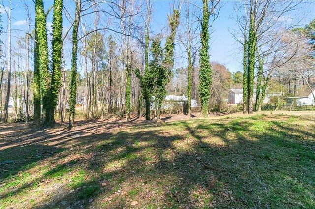 37 Indian Hills Ct, Dallas, GA 30157 - view of yard