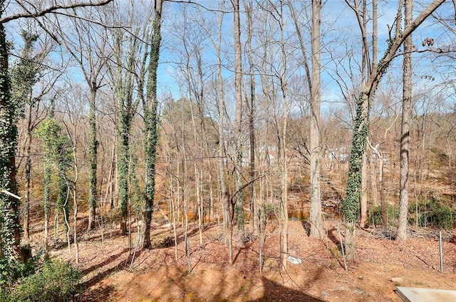 view of nature with a wooded view