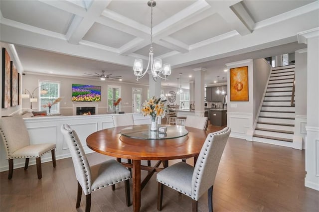dining room featuring a warm lit fireplace, dark wood-style floors, ceiling fan with notable chandelier, and coffered ceiling