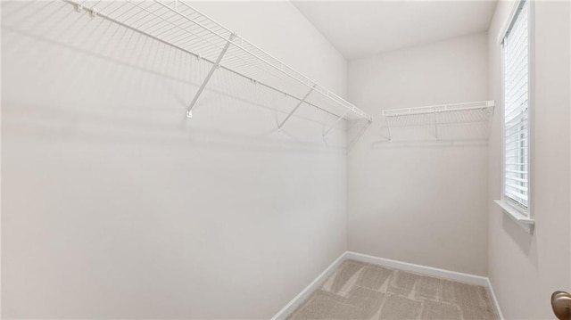 1570 Halbrook Pl, Marietta, GA 30008 - walk in closet featuring light colored carpet
