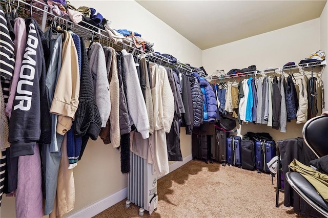 walk in closet with carpet floors