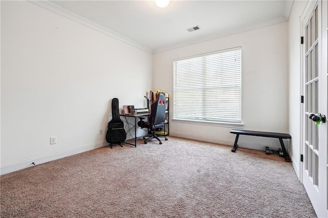 office space with carpet, ornamental molding, and baseboards