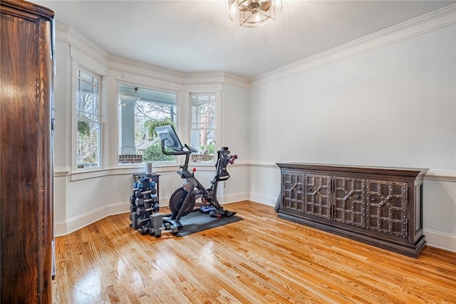 exercise room with crown molding, a healthy amount of sunlight, and light hardwood / wood-style floors