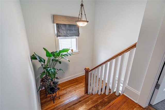 stairs with hardwood / wood-style flooring