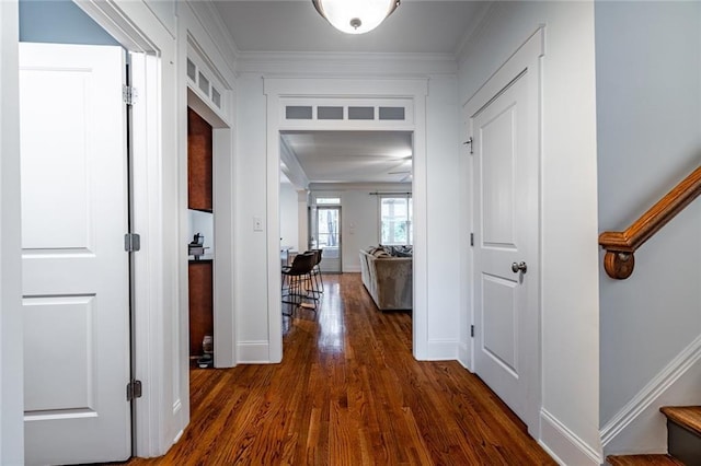 hallway with dark wood-type flooring and ornamental molding