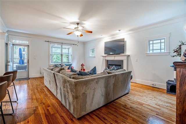 living room with ceiling fan, hardwood / wood-style floors, and crown molding