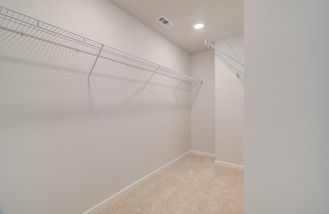 spacious closet with light colored carpet