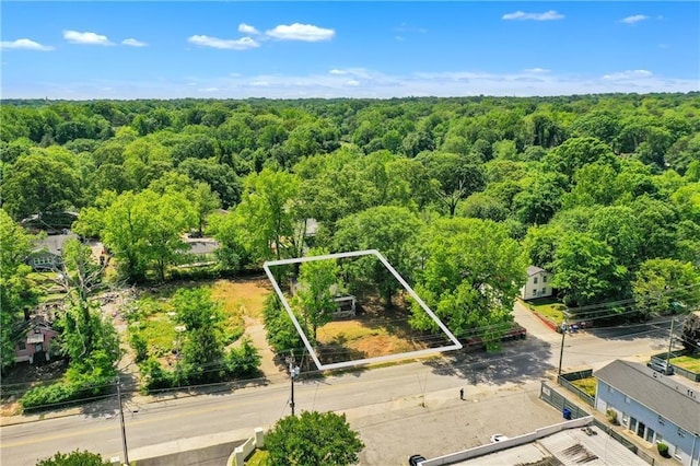 1162 Joseph E Boone Blvd NW, Atlanta, GA 30314 - aerial view of property and surrounding area with property parcel outlined and a forest