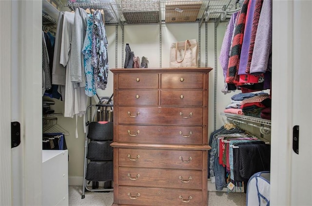 view of walk in closet