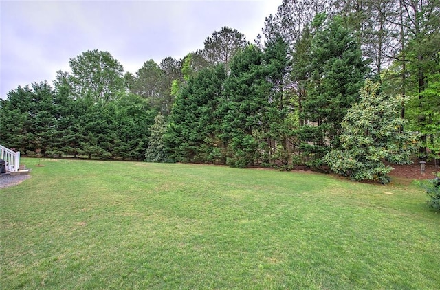 view of yard