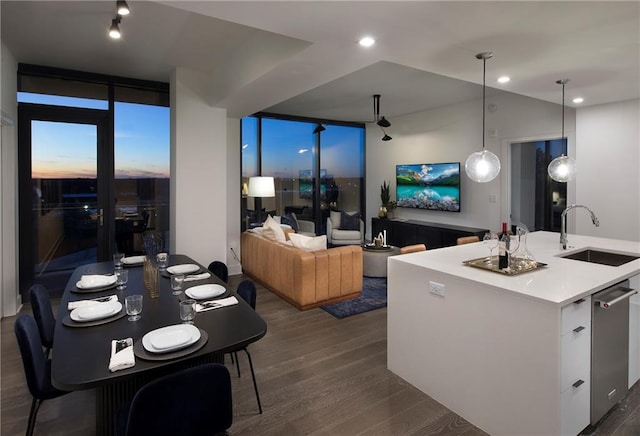 kitchen featuring expansive windows, decorative light fixtures, dark wood-type flooring, sink, and stainless steel dishwasher