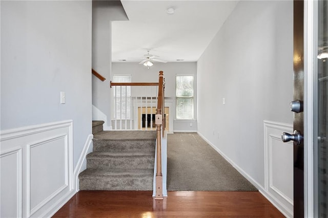 stairway with ceiling fan and wood-type flooring