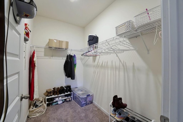 spacious closet with carpet floors