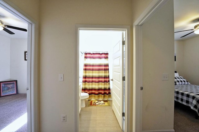 hall featuring light colored carpet