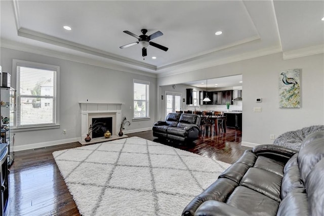 living area with dark wood finished floors, a ceiling fan, and a raised ceiling