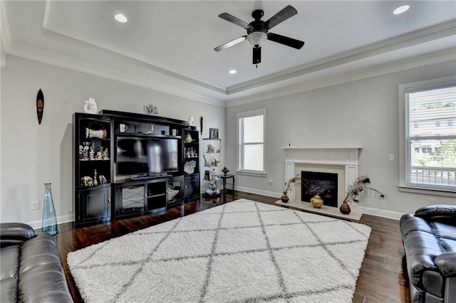 living room with a tray ceiling, wood finished floors, and a wealth of natural light