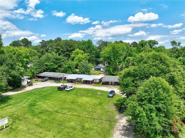 3494 Ga Highway 85 E, Manchester, GA 31816 - view from above of property