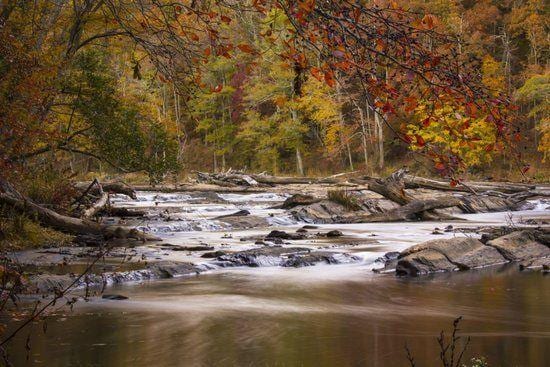 view of local wilderness