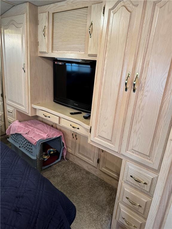 bedroom featuring carpet floors