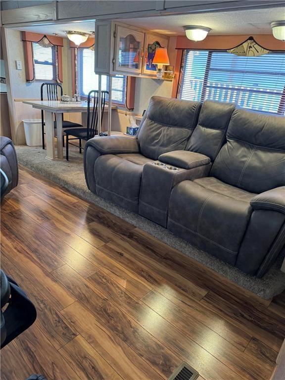 living room with hardwood / wood-style flooring and a healthy amount of sunlight