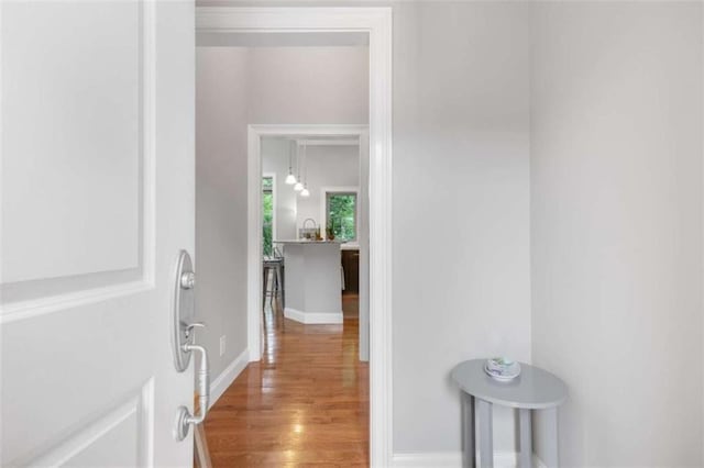 1903 Anjaco Rd Unit 5, Atlanta, GA 30309 - corridor with wood finished floors and baseboards