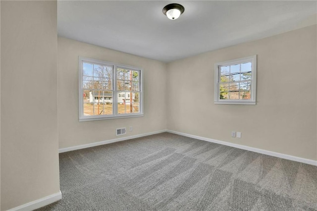 carpeted spare room with a wealth of natural light