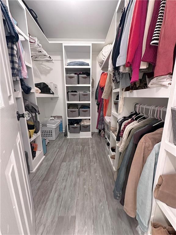 walk in closet featuring wood-type flooring