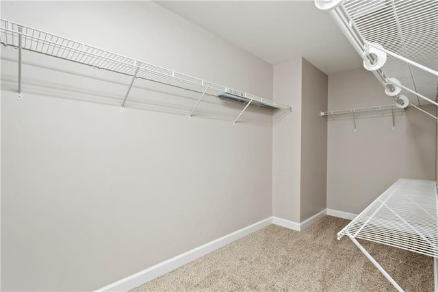 spacious closet with carpet floors