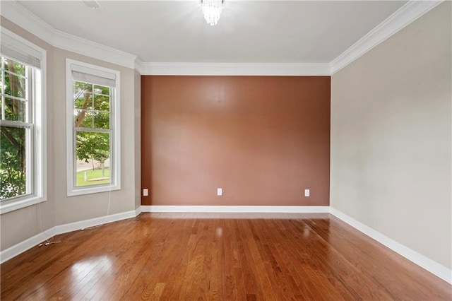 unfurnished room with wood-type flooring and crown molding