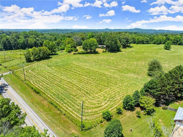 4169 Clarks Bridge Rd, Gainesville, GA 30506 - overview of rural landscape featuring rows of crops