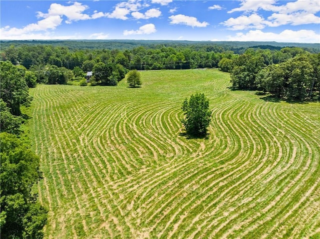 4169 Clarks Bridge Rd, Gainesville, GA 30506 - aerial view of sparsely populated area