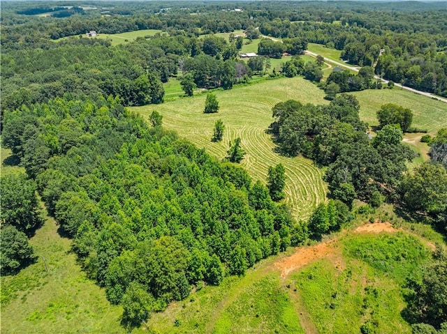 4169 Clarks Bridge Rd, Gainesville, GA 30506 - bird's eye view of a forest