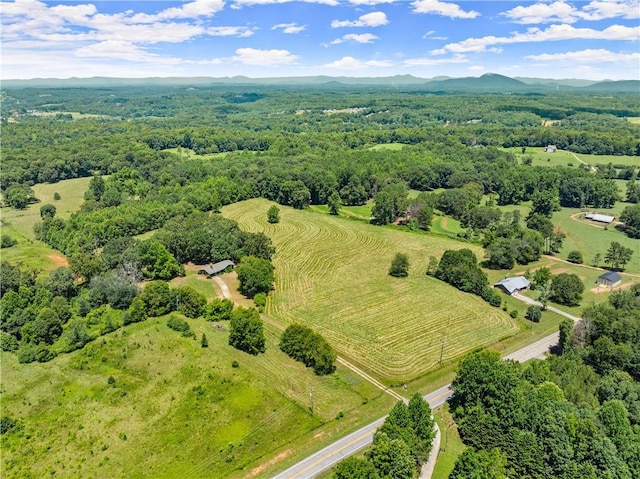 4169 Clarks Bridge Rd, Gainesville, GA 30506 - view of rural area featuring a mountain backdrop and a heavily wooded area