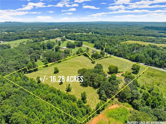 4169 Clarks Bridge Rd, Gainesville, GA 30506 - view of rural area with property boundaries highlighted