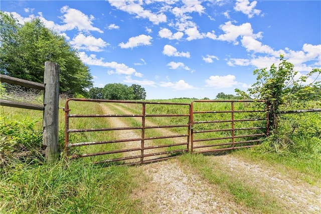 4169 Clarks Bridge Rd, Gainesville, GA 30506 - view of gate