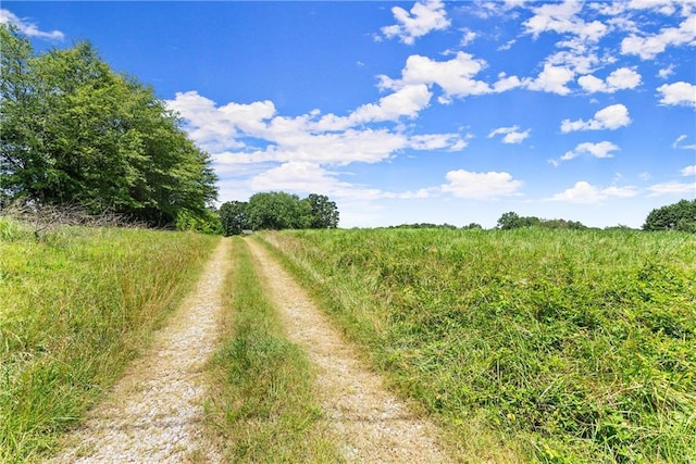 4169 Clarks Bridge Rd, Gainesville, GA 30506 - view of road