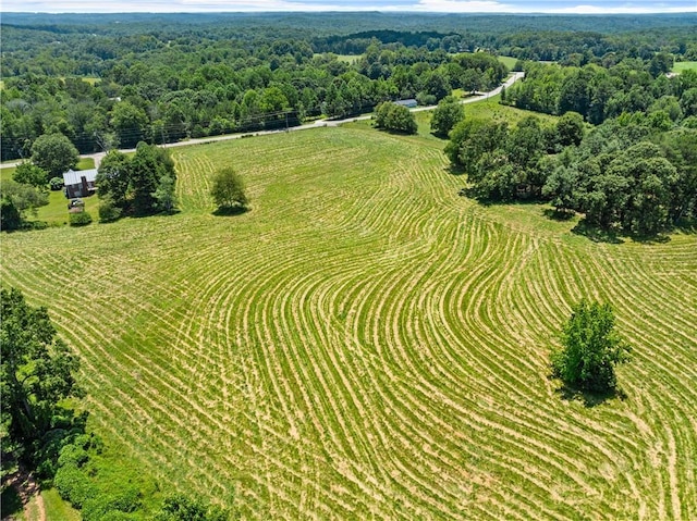 4169 Clarks Bridge Rd, Gainesville, GA 30506 - aerial view