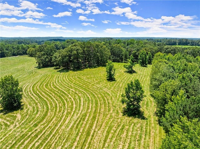 4169 Clarks Bridge Rd, Gainesville, GA 30506 - bird's eye view
