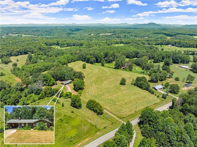 4169 Clarks Bridge Rd, Gainesville, GA 30506 - view of rural area featuring property parcel outlined and mountains