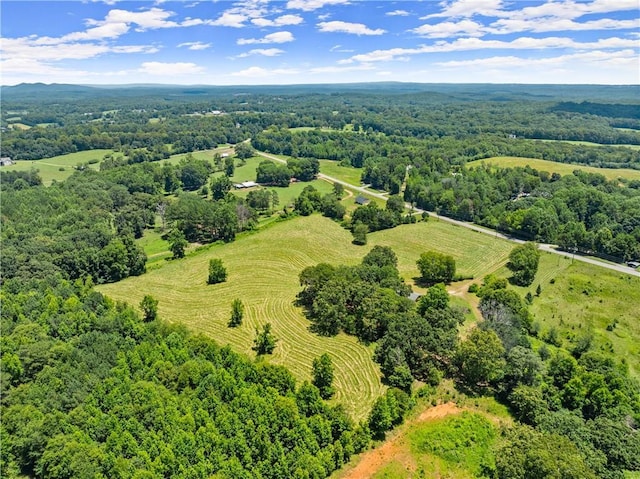 4169 Clarks Bridge Rd, Gainesville, GA 30506 - view of rural area featuring a heavily wooded area