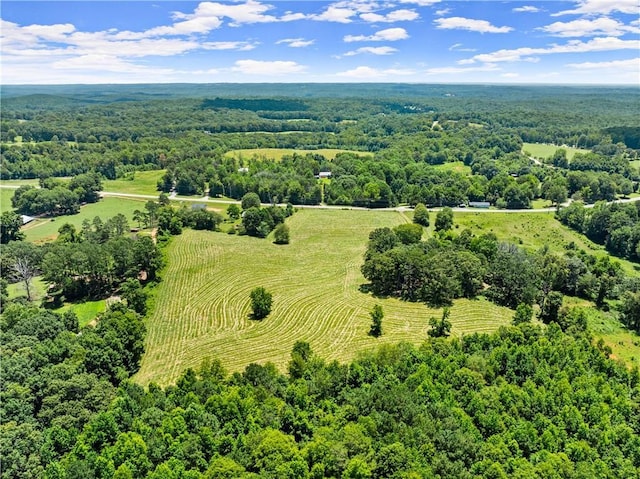 4169 Clarks Bridge Rd, Gainesville, GA 30506 - view of rural area featuring a forest