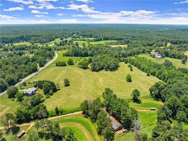 4169 Clarks Bridge Rd, Gainesville, GA 30506 - view of rural area with a forest