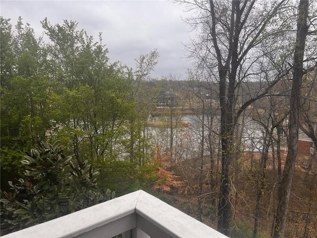 7113 Artisans Way, Flowery Branch, GA 30542 - water view