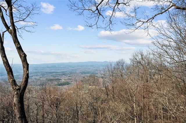 view of mountain feature