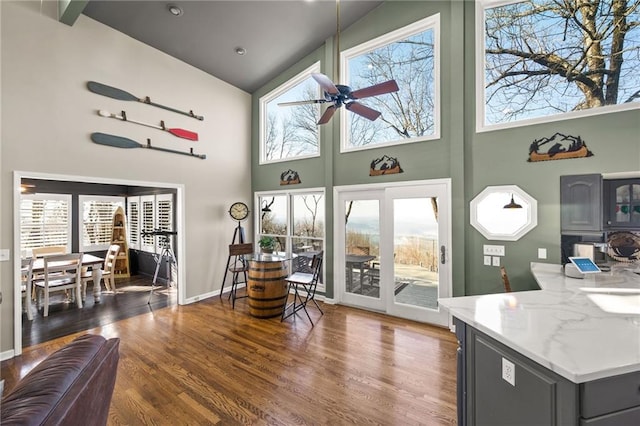 interior space featuring a high ceiling, dark wood-style flooring, plenty of natural light, and a ceiling fan