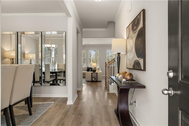 hallway with crown molding, a chandelier, and hardwood / wood-style flooring