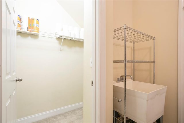 401 Oscar Way, Dallas, GA 30132 - spacious closet with carpet flooring and a sink