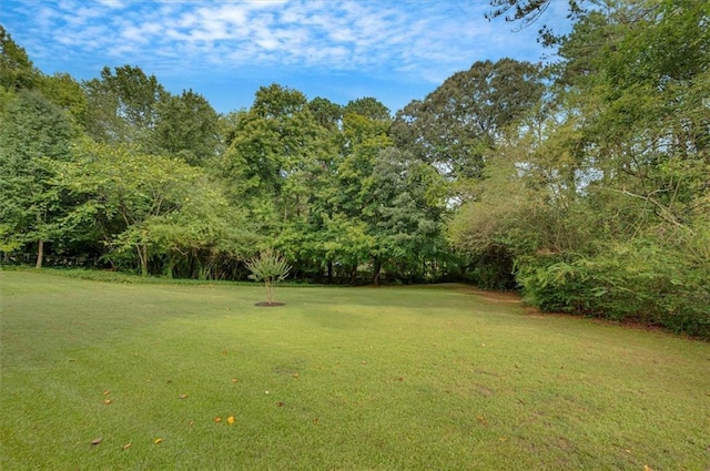 view of community featuring a yard