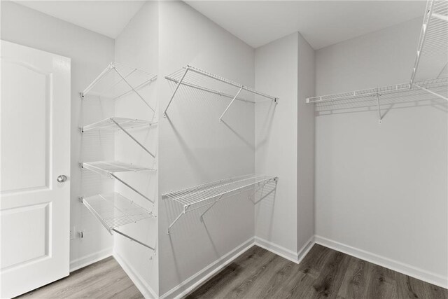 124 Oakmont Dr, Dawsonville, GA 30534 - walk in closet featuring wood finished floors